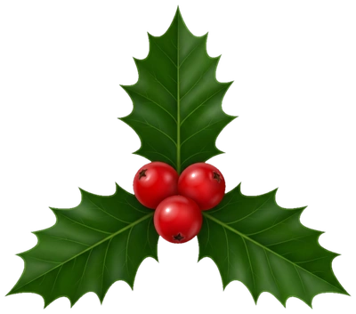 Christmas Holly